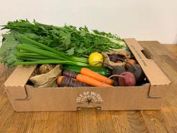 Image of Small Veg Box + FRUIT