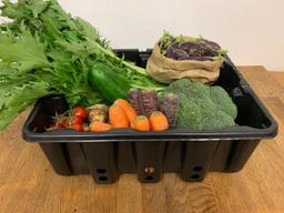 Image of Small Veg Box