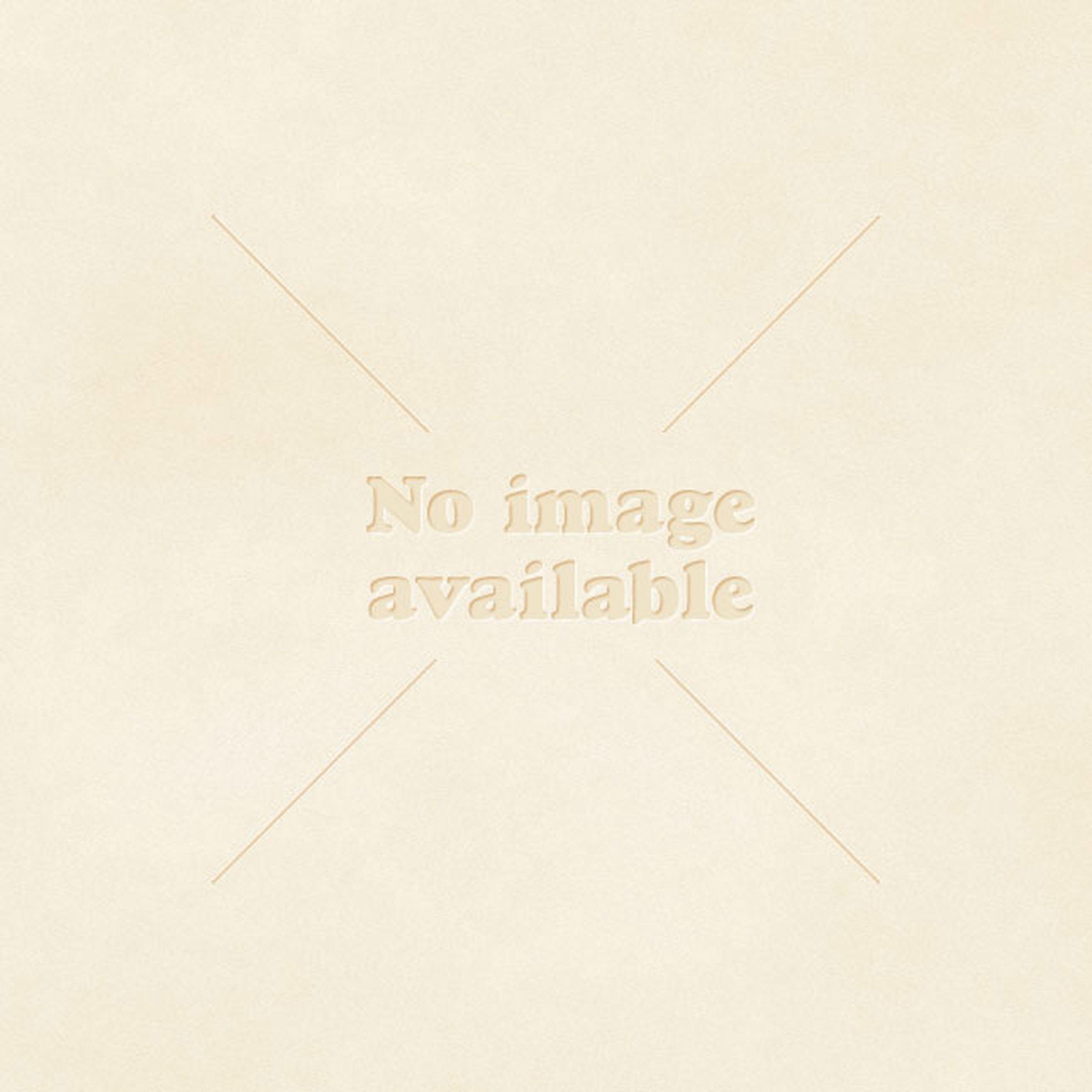 Sky Sprouts Broccoli Sprouts