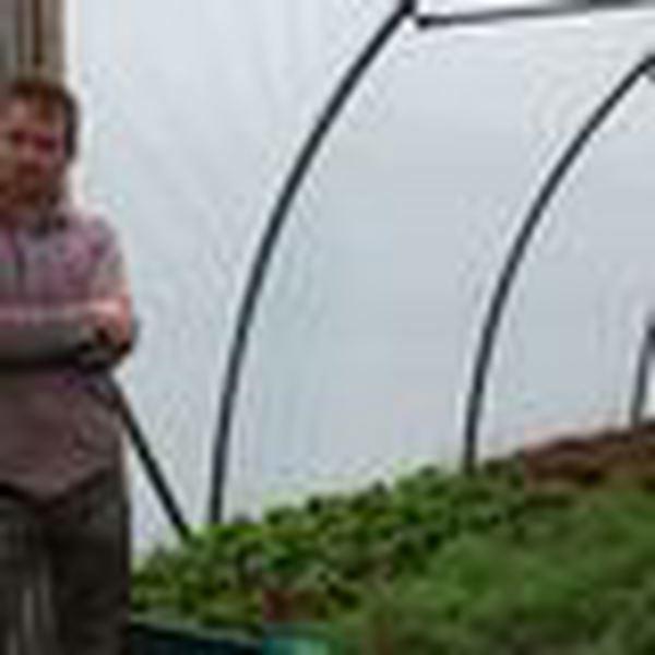 Long Causeway Market Garden