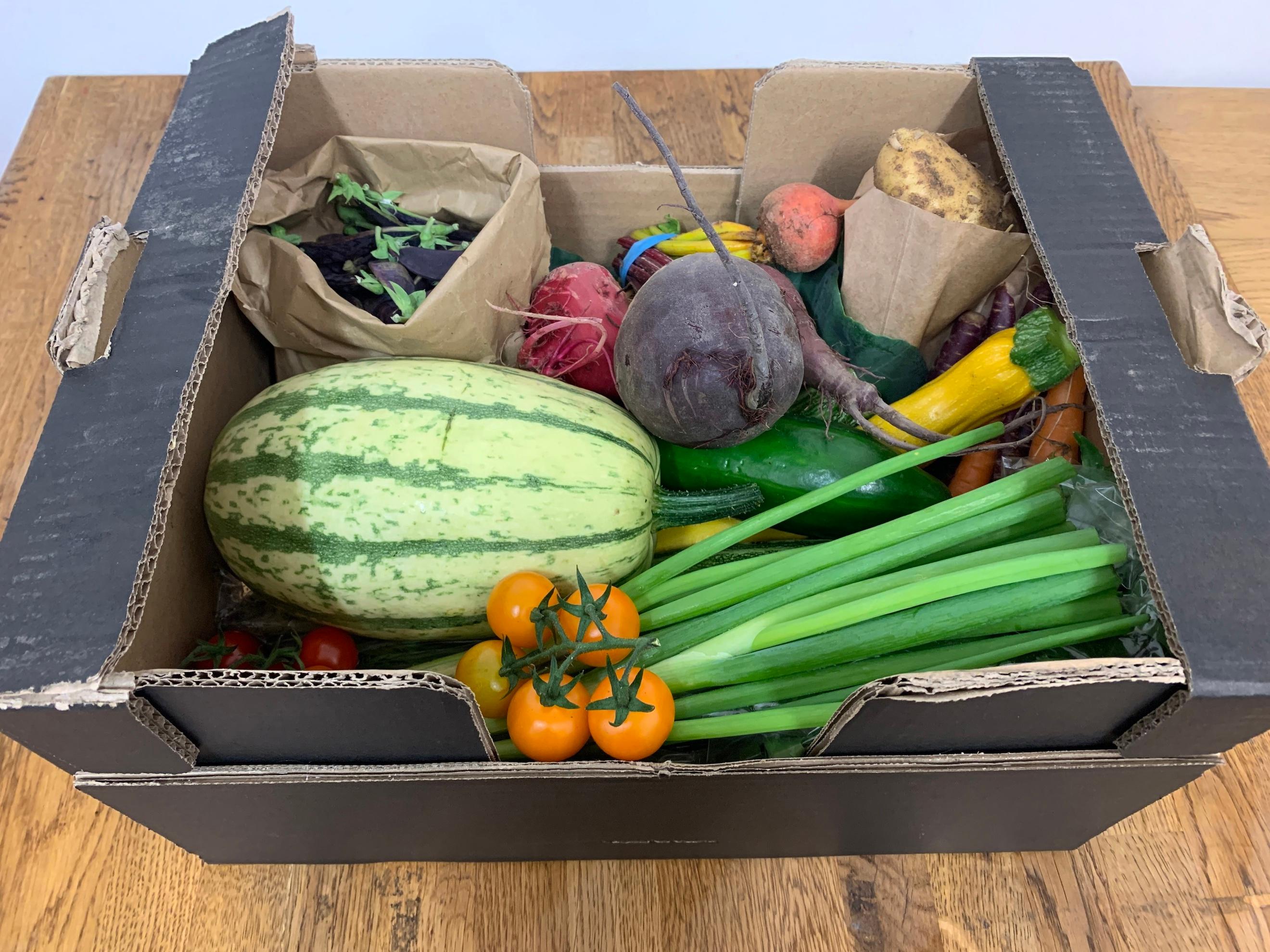 Veg Only Boxes